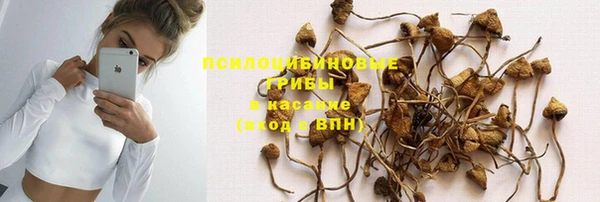 ГАЛЛЮЦИНОГЕННЫЕ ГРИБЫ Лабытнанги