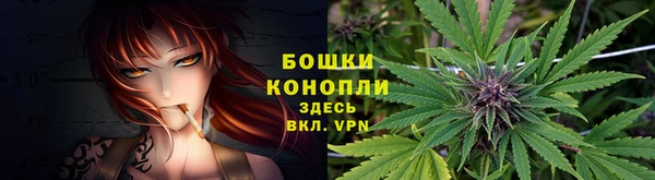 марки nbome Ладушкин