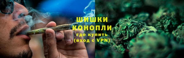 ГАЛЛЮЦИНОГЕННЫЕ ГРИБЫ Лабытнанги