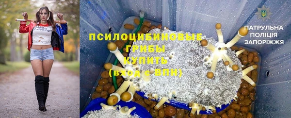 ГАЛЛЮЦИНОГЕННЫЕ ГРИБЫ Лабытнанги
