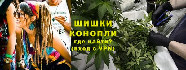 ГАЛЛЮЦИНОГЕННЫЕ ГРИБЫ Лабытнанги
