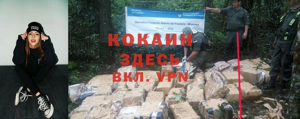 ГАЛЛЮЦИНОГЕННЫЕ ГРИБЫ Лабытнанги