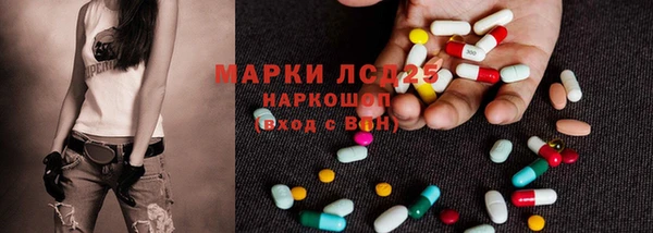 ГАЛЛЮЦИНОГЕННЫЕ ГРИБЫ Лабытнанги