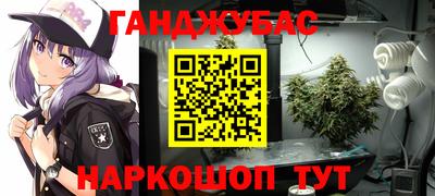 хмурый Абакан