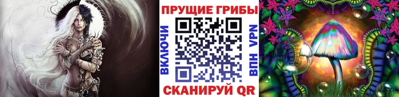 где продают наркотики  Серпухов  mega ONION  Галлюциногенные грибы мухоморы 