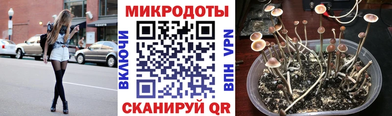 Псилоцибиновые грибы мухоморы Серпухов